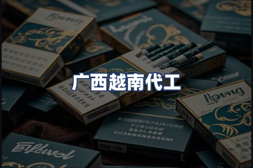 广西越南代工